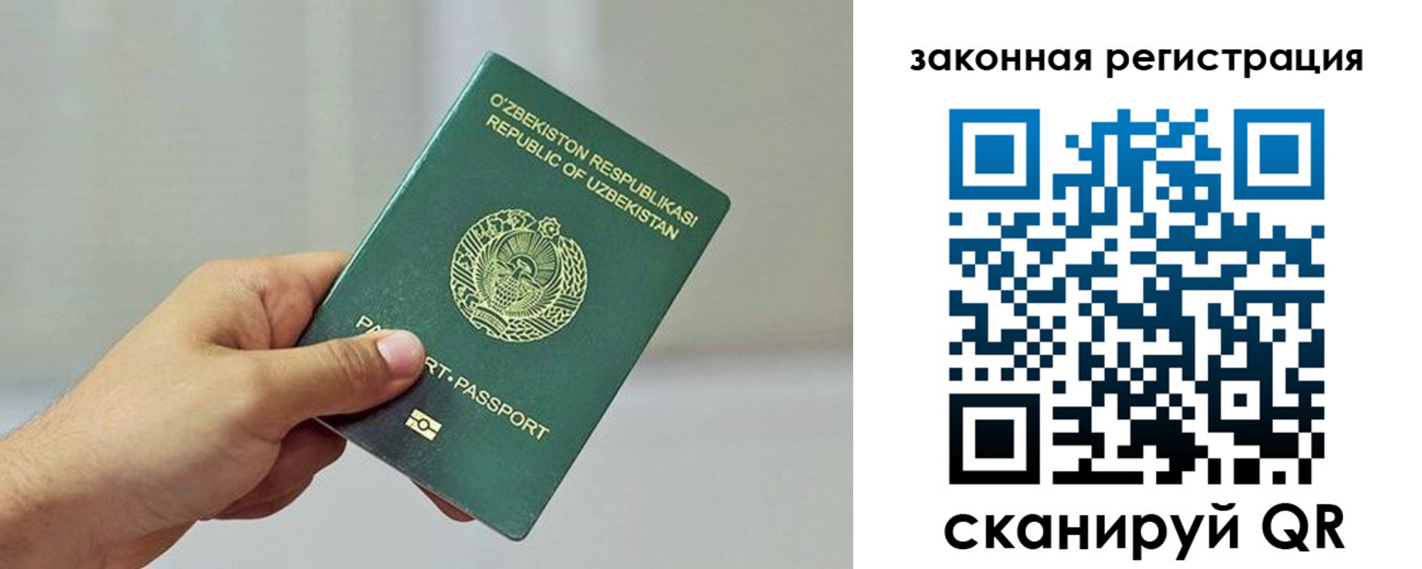 временная регистрация гарантия в Камчатском крае